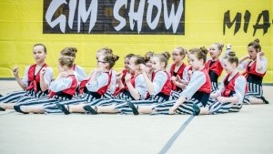 XI Międzynarodowy Festiwal Formacji Gimnastyczno - Tanecznych - 23.04.2016