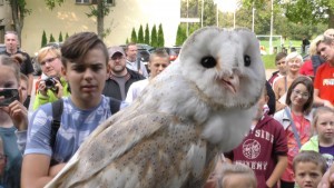 Co mówi sowie spojrzenie? III Happening przyrodniczy w Malborku – 09.09.2017