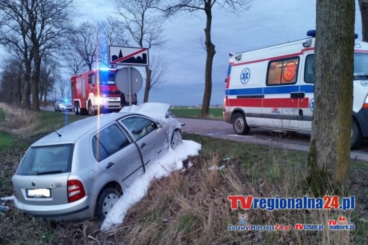 POLICJANCI USTALAJĄ OKOLICZNOŚCI ZDARZENIA DROGOWEGO. LUBIESZEWO- 03.04.2015&#8230;