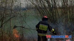 POŻAR SUCHEJ TRAWY W CHEŁMKU OSADZIE-12.04.2015