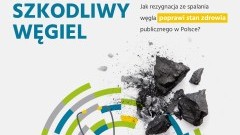 Ile kosztuje nas spalanie węgla? Za pozostanie przy energetyce węglowej zapłacimy zdrowiem - nawet 422 mld złotych