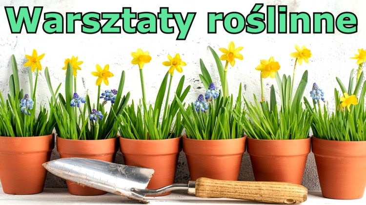 Warsztaty roślinne - gmina Malbork zaprasza na porcję zielonej wiedzy.