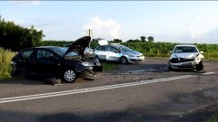 Wypadki, kolizje drogowe i gniazda szerszeni  – tygodniowy raport malborskich służb mundurowych.