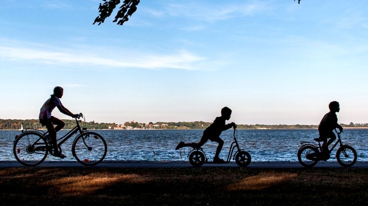 Malbork. Weź udział w Badaniu Klimatu Rowerowego.