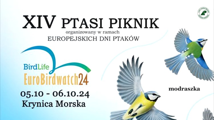 Przed nami Ptasi Piknik ? czyli obserwowanie jesiennej migracji ptaków.