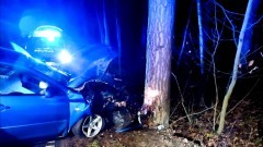 Pijany kierowca uderzył samochodem w drzewo - podsumowanie weekendu na drogach powiatu nowodworskiego. 