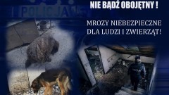 Mrozy niebezpieczne dla ludzi i zwierząt. Nie bądź obojętny - apelują policjanci.