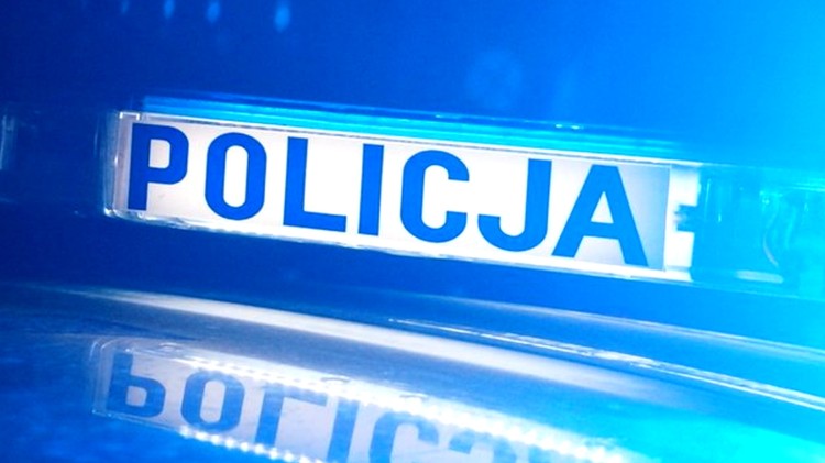 Gmina Stegna. Nietrzeźwy 19-latek wjechał samochodem do przydrożnego…