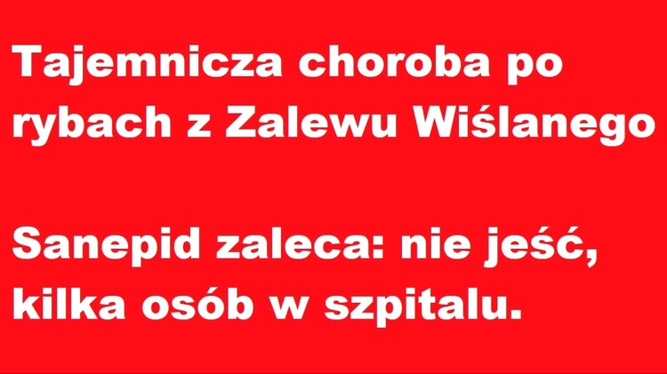 Tajemnicza choroba po rybach z Zalewu Wiślanego - Sanepid zaleca: nie…