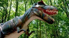 GŁOŚNY DLA MIESZKAŃCÓW PARK ZOSTAJE, UMOWA PODPISANA PO CICHU.