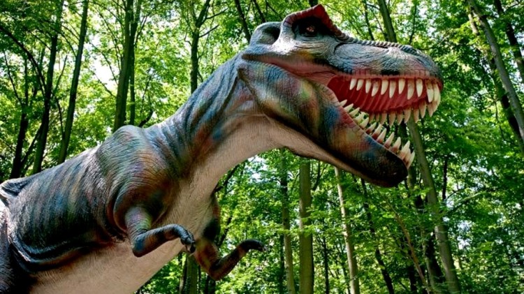 GŁOŚNY DLA MIESZKAŃCÓW PARK ZOSTAJE, UMOWA PODPISANA PO CICHU.