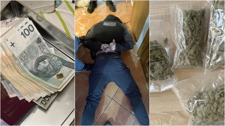 Nalot w Malborku: pół kilo trawki, 25 kilo lewego tytoniu i dwóch 28-latków…