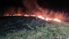 Pożary traw i sadzy w kominie, uwięziony ptak w rynnie - tygodniowy raport malborskich służb mundurowych.