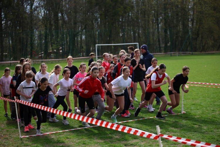 Mistrzostwa Powiatu w Drużynowych Biegach Przełajowych – sportowa rywalizacja młodzieży w Malborku.