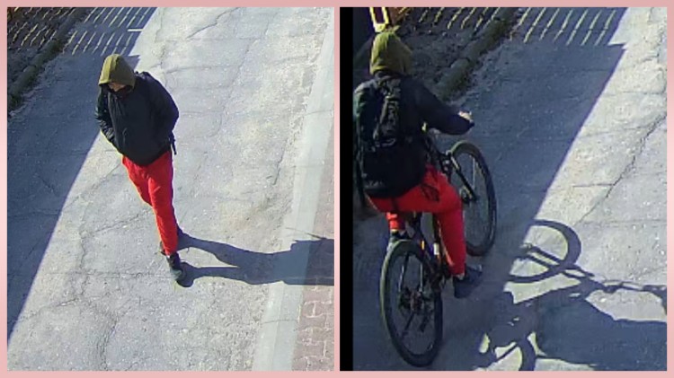 Kradzież roweru w Malborku. Policja publikuje wizerunek sprawcy i prosi o pomoc.