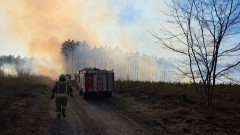 Pożar lasu w Leśnictwie Wilki - kilkanaście zastępów w akcji.