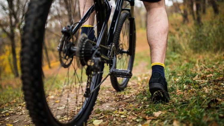 Podstawowy serwis roweru – co warto umieć zrobić samodzielnie?