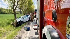 Wypadki, kolizje, kot na drzewie - tygodniowy raport malborskich służb mundurowych.