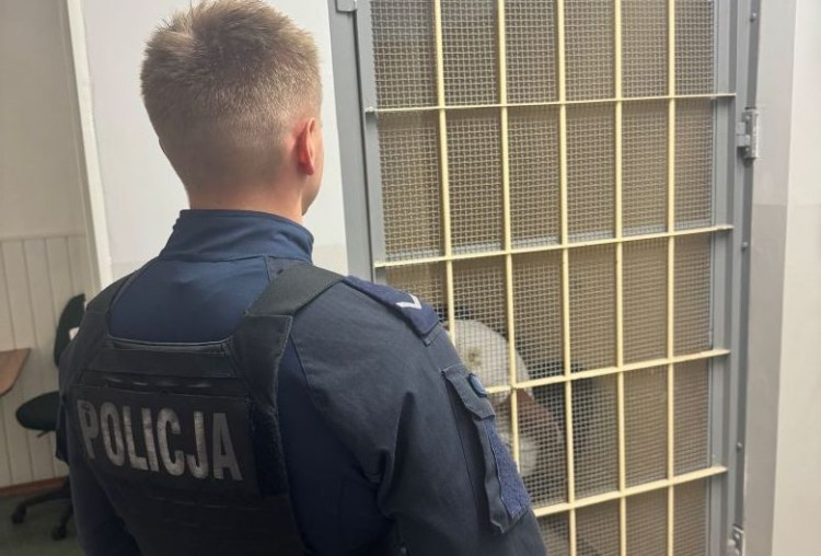 Nie zatrzymał się do kontroli i zaczął uciekać. Policjanci szybko zatrzymali 25-latka