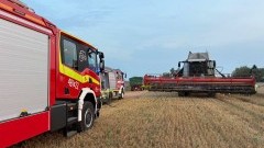 Pożar kombajnu, owady błonkoskrzydłe i pies na parapecie - tygodniowy raport malborskich służb mundurowych.