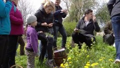 Cyganek/ Żelichowo. Warsztaty rozpoznawania i przyrządzania dziko rosnących roślin jadalnych - 11.06.2016