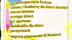 Gmina Ostaszewo. Festyn na sportowo w Gniazdowie - 12.06.2016