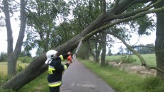 Nawałnica przeszła przez Żuławy i Mierzeję Wiślaną - 02.07.2016