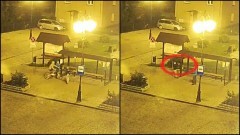 Nowy Staw: Młodzi wandale zrywają rozkłady. Utrapienie dla nowego przewoźnika – 19.07.2016