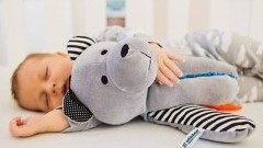 Nowy Dwór Gdański. Szumiące Misie Whisbear wyruszają w podróż - 15.05.2017