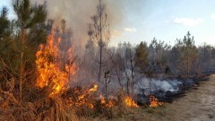 Uwaga: jest sucho. Pali się ściółka leśna w Junoszynie i Sztutowie.