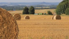 Uwaga : Zmiana siedziby placówki terenowej KRUS w Malborku - 19.09.2017