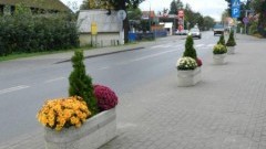 Kwiaty i klomby na ulicy Gdańskiej oraz przy dworcu PKS, czyli estetyzacja Stegny - 11.10.2017