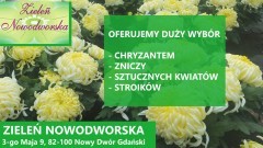 ZAPRASZAMY DO  ZIELENI NOWODWORSKIEJ  PRZY UL. 3-GO MAJA 9 W  NOWYM DWORZE GDAŃSKIM