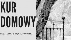Nowy Dwór Gdański : Zapraszamy na spektakl „Kur Domowy”! - 17.11.2017