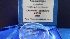 Medal "Zachowaj Trzeźwy umysł" dla Gminy Stegna ! - 13.10.2017