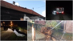 Orkan Grzegorz na Żuławach. Zerwane dachy, powalone drzewa, zalane piwnice. Tragiczny bilans wichury - 30.10.2017