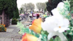 Niewielki wzrost cen zniczy i kwiatów. Ostatnie przygotowania do 1 listopada. 