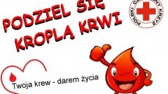 Przedświąteczny pobór krwi w Nowym Dworze Gdańskim