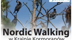 Kąty Rybackie: VIII Jesienny Rajd 2019. Nordic Walking w Krainie Kormoranów.