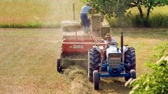 Ruszył nabór kandydatów na rachmistrzów terenowych do przeprowadzenia Powszechnego Spisu Rolnego 2020.