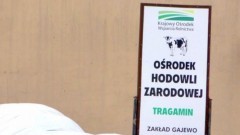 Tragamin. Ministerstwo Klimatu i Środowiska odpowiada na zapytanie posła.