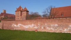 Malbork. Muzeum Zamkowe wyjaśnia skąd biały nalot na średniowiecznych&#8230;