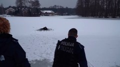 Nowy Dwór Gdański. Czy wiesz, jak pomóc osobie tonącej? - wspólne ćwiczenia policjantów i strażaków.