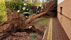 Nowy Dwór Gdański. Strażacy usuwali skutki silnych wiatrów.