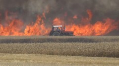 CISY: WYSTARCZYŁA ISKRA I SPŁONĘŁO 10 HEKTARÓW ZBOŻA O WARTOŚCI 70 TYS. ZŁOTYCH.  - 03.08.2015 