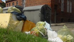 PODRZUCANIE ŚMIECI BEZKARNE? URZĘDNICY ZAŁAMUJĄ RĘCE. SPRAWCĘ TRZEBA ZŁAPAĆ NA GORĄCYM UCZYNKU - 27.07.2015