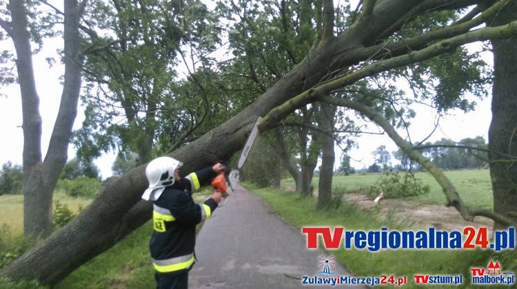 Nawałnica przeszła przez Żuławy i Mierzeję Wiślaną - 02.07.2016