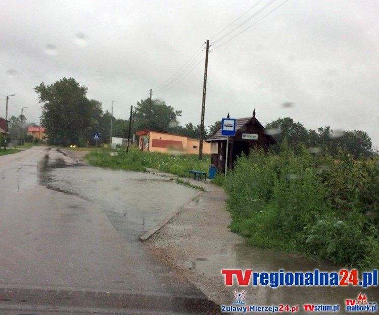 Przemysław. Zdjęcie dnia. W podziękowaniu za nowy przystanek - 14.07.2016