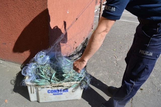 Nowy Dwór Gdański. Zatrzymano kłusowników dzięki wskazaniu na Krajowej&#8230;