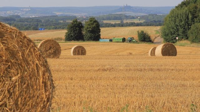 Uwaga : Zmiana siedziby placówki terenowej KRUS w Malborku - 19.09.2017